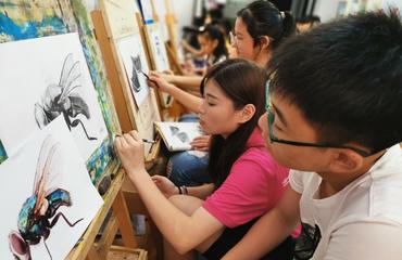 十三載翰墨凝香，繪就夢想的線條——南昌美術培訓深耕素描與繪畫教學紀實